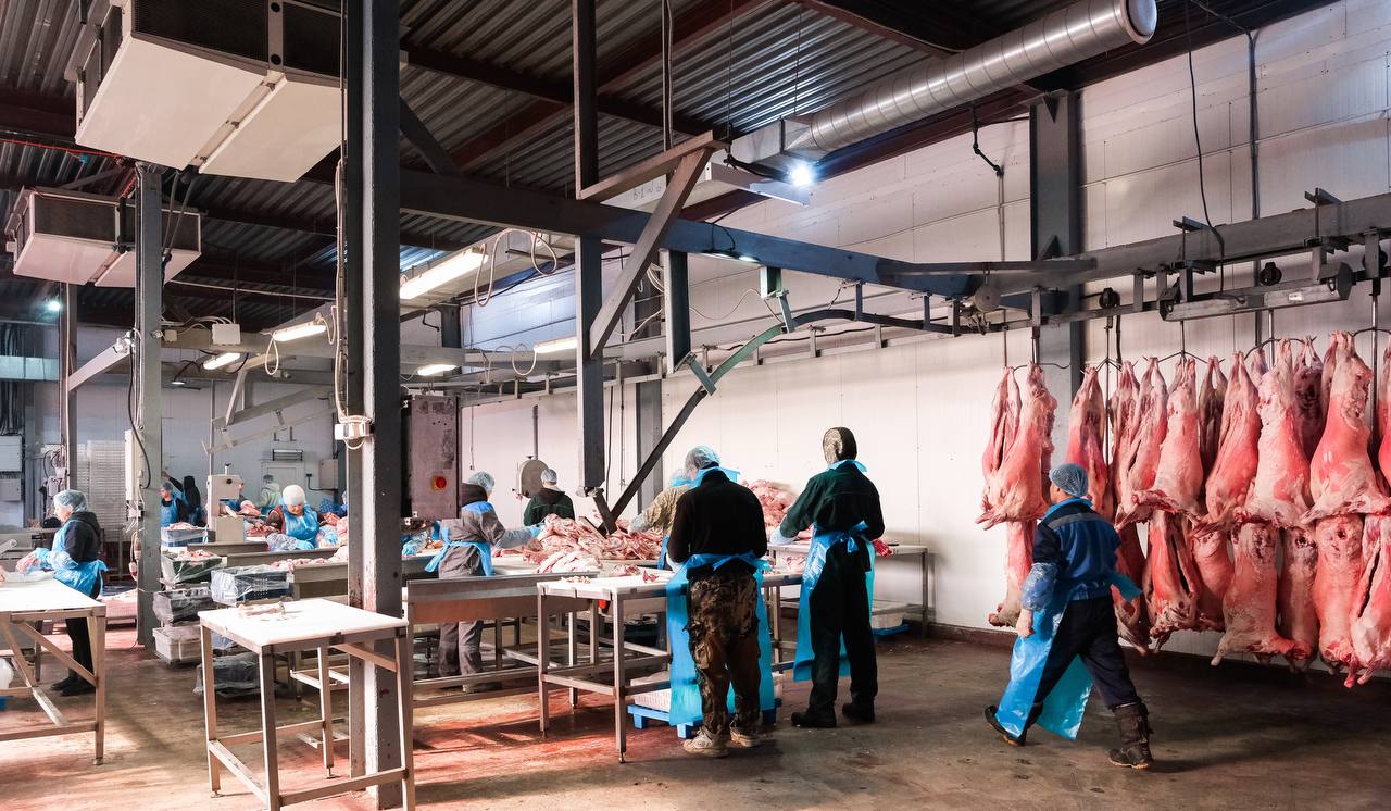 Астраханец развивает бизнес по производству мясной продукции при господдержке