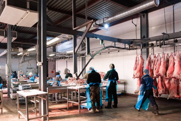 Астраханец развивает бизнес по производству мясной продукции при господдержке