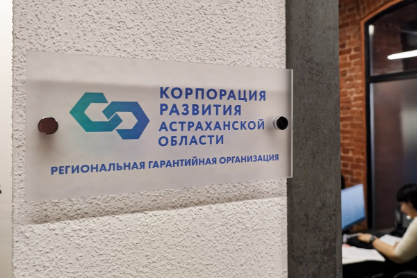 Астраханский бизнес при поддержке РГО привлёк 2,3 млрд рублей финансирования